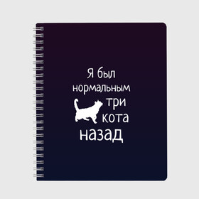 Тетрадь с принтом Я был в норме три кота назад в Белгороде, 100% бумага | 48 листов, плотность листов — 60 г/м2, плотность картонной обложки — 250 г/м2. Листы скреплены сбоку удобной пружинной спиралью. Уголки страниц и обложки скругленные. Цвет линий — светло-серый
 | cats | normal | жизненно | жизнь | котики | коты | котэ | кошатник | кошатница | кошка | кошки | нормальный