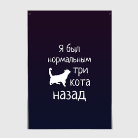 Постер с принтом Я был в норме три кота назад в Белгороде, 100% бумага
 | бумага, плотность 150 мг. Матовая, но за счет высокого коэффициента гладкости имеет небольшой блеск и дает на свету блики, но в отличии от глянцевой бумаги не покрыта лаком | Тематика изображения на принте: cats | normal | жизненно | жизнь | котики | коты | котэ | кошатник | кошатница | кошка | кошки | нормальный