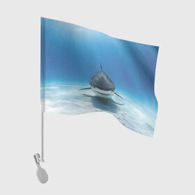 Флаг для автомобиля с принтом Анфас в Белгороде, 100% полиэстер | Размер: 30*21 см | bottom | fin | full face | jaw | ocean | sand | shark | water | акула | анфас | вода | дно | океан | песок | плавник