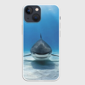 Чехол для iPhone 13 mini с принтом Анфас в Белгороде,  |  | bottom | fin | full face | jaw | ocean | sand | shark | water | акула | анфас | вода | дно | океан | песок | плавник