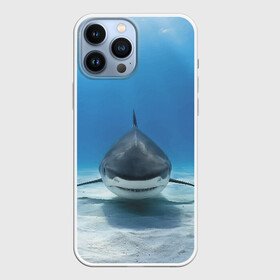 Чехол для iPhone 13 Pro Max с принтом Анфас в Белгороде,  |  | Тематика изображения на принте: bottom | fin | full face | jaw | ocean | sand | shark | water | акула | анфас | вода | дно | океан | песок | плавник