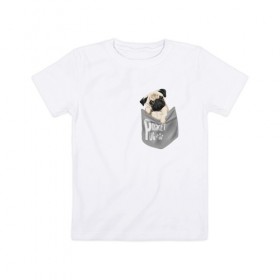 Детская футболка хлопок с принтом Мопс в кармане в Белгороде, 100% хлопок | круглый вырез горловины, полуприлегающий силуэт, длина до линии бедер | Тематика изображения на принте: pug | карман | карманный мопс | малыш | милый | мопс | пес | песик | собака | собачка