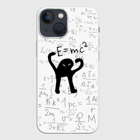Чехол для iPhone 13 mini с принтом ЪУЪ СЪУКА Emc2 в Белгороде,  |  | cat | emc 2 | emc2 | mem | memes | truxkot19 | знаменитые формулы | интернет приколы | кот | мем | мем кот | физика | формулы | ъуъ | ъуъ съука | эйнштейн