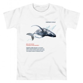 Мужская футболка хлопок с принтом Hampback whale в Белгороде, 100% хлопок | прямой крой, круглый вырез горловины, длина до линии бедер, слегка спущенное плечо. | Тематика изображения на принте: animals | red book | red list | животные | животные из красной книги | красная книга | редкие животные