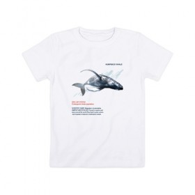 Детская футболка хлопок с принтом Hampback whale в Белгороде, 100% хлопок | круглый вырез горловины, полуприлегающий силуэт, длина до линии бедер | animals | red book | red list | животные | животные из красной книги | красная книга | редкие животные