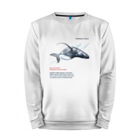 Мужской свитшот хлопок с принтом Hampback whale в Белгороде, 100% хлопок |  | animals | red book | red list | животные | животные из красной книги | красная книга | редкие животные