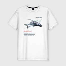 Мужская футболка премиум с принтом Hampback whale в Белгороде, 92% хлопок, 8% лайкра | приталенный силуэт, круглый вырез ворота, длина до линии бедра, короткий рукав | animals | red book | red list | животные | животные из красной книги | красная книга | редкие животные