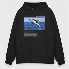 Мужское худи Oversize хлопок с принтом White-beaked Dolphin в Белгороде, френч-терри — 70% хлопок, 30% полиэстер. Мягкий теплый начес внутри —100% хлопок | боковые карманы, эластичные манжеты и нижняя кромка, капюшон на магнитной кнопке | animals | red book | red list | животные | животные из красной книги | красная книга | редкие животные