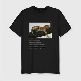 Мужская футболка премиум с принтом Leopard в Белгороде, 92% хлопок, 8% лайкра | приталенный силуэт, круглый вырез ворота, длина до линии бедра, короткий рукав | animals | red book | red list | животные | животные из красной книги | красная книга | редкие животные