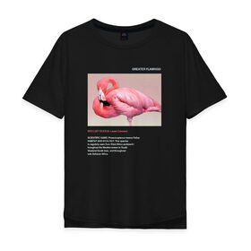 Мужская футболка хлопок Oversize с принтом Greater Flamingo в Белгороде, 100% хлопок | свободный крой, круглый ворот, “спинка” длиннее передней части | animals | red book | red list | животные | животные из красной книги | красная книга | редкие животные | фламинго