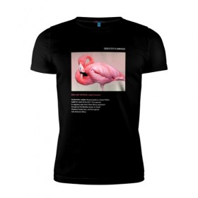 Мужская футболка премиум с принтом Greater Flamingo в Белгороде, 92% хлопок, 8% лайкра | приталенный силуэт, круглый вырез ворота, длина до линии бедра, короткий рукав | animals | red book | red list | животные | животные из красной книги | красная книга | редкие животные | фламинго