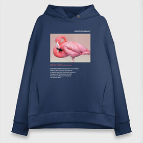 Женское худи Oversize хлопок с принтом Greater Flamingo в Белгороде, френч-терри — 70% хлопок, 30% полиэстер. Мягкий теплый начес внутри —100% хлопок | боковые карманы, эластичные манжеты и нижняя кромка, капюшон на магнитной кнопке | Тематика изображения на принте: animals | red book | red list | животные | животные из красной книги | красная книга | редкие животные | фламинго