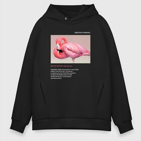 Мужское худи Oversize хлопок с принтом Greater Flamingo в Белгороде, френч-терри — 70% хлопок, 30% полиэстер. Мягкий теплый начес внутри —100% хлопок | боковые карманы, эластичные манжеты и нижняя кромка, капюшон на магнитной кнопке | Тематика изображения на принте: animals | red book | red list | животные | животные из красной книги | красная книга | редкие животные | фламинго