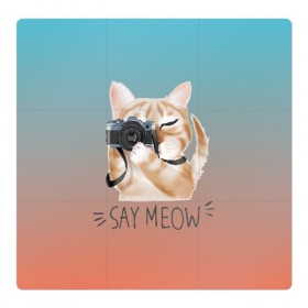Магнитный плакат 3Х3 с принтом Say Meow в Белгороде, Полимерный материал с магнитным слоем | 9 деталей размером 9*9 см | meow | кот | котенок | котик | котики | котятка | кошка | мяу | скажи мяу | фотоаппарат | фотограф