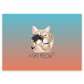 Поздравительная открытка с принтом Say Meow в Белгороде, 100% бумага | плотность бумаги 280 г/м2, матовая, на обратной стороне линовка и место для марки
 | Тематика изображения на принте: meow | кот | котенок | котик | котики | котятка | кошка | мяу | скажи мяу | фотоаппарат | фотограф