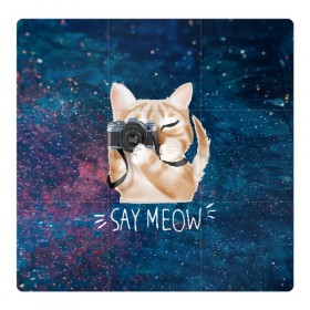 Магнитный плакат 3Х3 с принтом Say Meow в Белгороде, Полимерный материал с магнитным слоем | 9 деталей размером 9*9 см | Тематика изображения на принте: meow | кот | котенок | котик | котики | котятка | кошка | мяу | скажи мяу | фотоаппарат | фотограф
