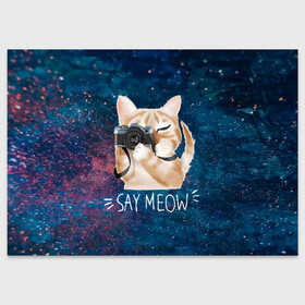 Поздравительная открытка с принтом Say Meow в Белгороде, 100% бумага | плотность бумаги 280 г/м2, матовая, на обратной стороне линовка и место для марки
 | meow | кот | котенок | котик | котики | котятка | кошка | мяу | скажи мяу | фотоаппарат | фотограф