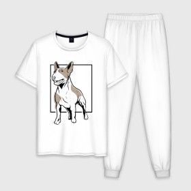 Мужская пижама хлопок с принтом Бультерьер в Белгороде, 100% хлопок | брюки и футболка прямого кроя, без карманов, на брюках мягкая резинка на поясе и по низу штанин
 | Тематика изображения на принте: bull | bull terrier | dog | terrier | бультерьер | собака | собаки