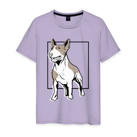 Мужская футболка хлопок с принтом Бультерьер в Белгороде, 100% хлопок | прямой крой, круглый вырез горловины, длина до линии бедер, слегка спущенное плечо. | bull | bull terrier | dog | terrier | бультерьер | собака | собаки