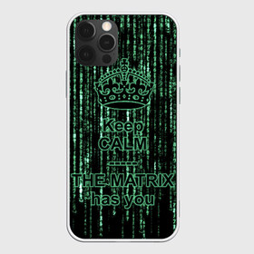 Чехол для iPhone 12 Pro Max с принтом THE MATRIX HAS YOU в Белгороде, Силикон |  | Тематика изображения на принте: matrix | андерсон | киану | код | компьютер. монитор. пк | матрица | послание | ривз | сообщение | томас