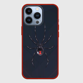 Чехол для iPhone 13 Pro с принтом Каракурт в Белгороде,  |  | marvel | spider | австралия | арахнофобия | вдова | кокон | красная | марвел | муха | насекомое | нить | паутина | полосы | сеть | спайдер | супергерой | тарантул | укус | фобия | черная | яд