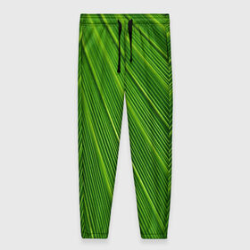 Женские брюки 3D с принтом Зелёный лист в Белгороде, полиэстер 100% | прямой крой, два кармана без застежек по бокам, с мягкой трикотажной резинкой на поясе и по низу штанин. В поясе для дополнительного комфорта — широкие завязки | abstract | абстрактно | абстрактный | абстракция | зеленый | зелень | лист | листок | листья | полоса | полоска | полосы | природа | флора