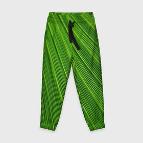 Детские брюки 3D с принтом Зелёный лист в Белгороде, 100% полиэстер | манжеты по низу, эластичный пояс регулируется шнурком, по бокам два кармана без застежек, внутренняя часть кармана из мелкой сетки | abstract | абстрактно | абстрактный | абстракция | зеленый | зелень | лист | листок | листья | полоса | полоска | полосы | природа | флора