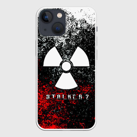 Чехол для iPhone 13 mini с принтом S.T.AL.K.E.R  2 в Белгороде,  |  | game | stalker | stalker 2 | глуховский | радиация | сталкер | сталкеры | чернобыль | ядерный взрыв