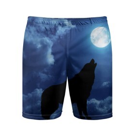 Мужские шорты спортивные с принтом WOLF в Белгороде,  |  | wolf | волк | луна | ночь
