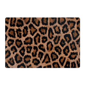 Магнитный плакат 3Х2 с принтом Леопардовая расцветка в Белгороде, Полимерный материал с магнитным слоем | 6 деталей размером 9*9 см | леопард | леопардовая | леопардовые | леопардовый | леопарды | пятнистые | пятнистый | пятнистым | расцветка