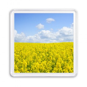 Магнит 55*55 с принтом Рапсовое поле в Белгороде, Пластик | Размер: 65*65 мм; Размер печати: 55*55 мм | небо | облака | облако | поле | поля | посев | посевы | природа | природный | рапс | рапсовое | рапсовый | рапсом | туча | тучи | урожаи | урожай | цветами | цветок | цветы