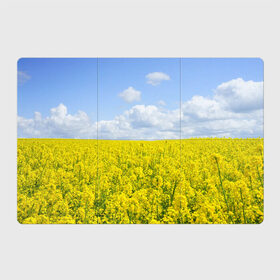 Магнитный плакат 3Х2 с принтом Рапсовое поле в Белгороде, Полимерный материал с магнитным слоем | 6 деталей размером 9*9 см | небо | облака | облако | поле | поля | посев | посевы | природа | природный | рапс | рапсовое | рапсовый | рапсом | туча | тучи | урожаи | урожай | цветами | цветок | цветы