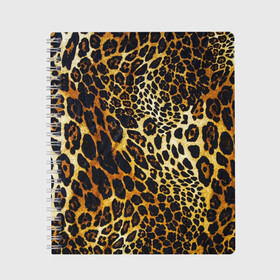 Тетрадь с принтом Леопард в Белгороде, 100% бумага | 48 листов, плотность листов — 60 г/м2, плотность картонной обложки — 250 г/м2. Листы скреплены сбоку удобной пружинной спиралью. Уголки страниц и обложки скругленные. Цвет линий — светло-серый
 | кошка | лео | леопард | мех | хищник