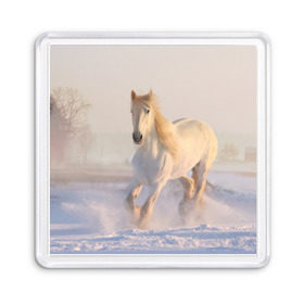 Магнит 55*55 с принтом Белая лошадь на снегу в Белгороде, Пластик | Размер: 65*65 мм; Размер печати: 55*55 мм | белая | белый | декабрь | животное | животные | звери | зверь | зима | зимний | зимой | кони | конь | копытные | копытный | лошади | лошадь | снег | снега | снегу | снежный | февраль | январь