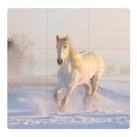 Магнитный плакат 3Х3 с принтом Белая лошадь на снегу в Белгороде, Полимерный материал с магнитным слоем | 9 деталей размером 9*9 см | Тематика изображения на принте: белая | белый | декабрь | животное | животные | звери | зверь | зима | зимний | зимой | кони | конь | копытные | копытный | лошади | лошадь | снег | снега | снегу | снежный | февраль | январь