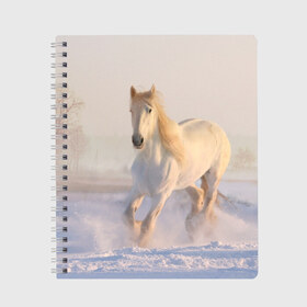 Тетрадь с принтом Белая лошадь на снегу в Белгороде, 100% бумага | 48 листов, плотность листов — 60 г/м2, плотность картонной обложки — 250 г/м2. Листы скреплены сбоку удобной пружинной спиралью. Уголки страниц и обложки скругленные. Цвет линий — светло-серый
 | белая | белый | декабрь | животное | животные | звери | зверь | зима | зимний | зимой | кони | конь | копытные | копытный | лошади | лошадь | снег | снега | снегу | снежный | февраль | январь