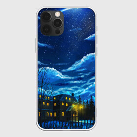 Чехол для iPhone 12 Pro Max с принтом ЗИМНЯЯ НОЧЬ в Белгороде, Силикон |  | star | stars | texture | вечер | вечерние иллюстрации | звезда | звезды | ночной пейзаж | ночные | ночь | природа | прогулки | текстуры