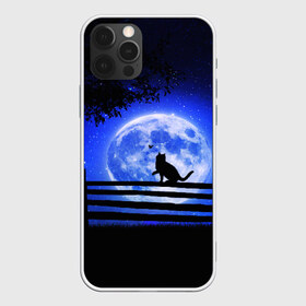 Чехол для iPhone 12 Pro Max с принтом КОТИК в Белгороде, Силикон |  | star | stars | texture | вечер | вечерние иллюстрации | звезда | звезды | ночной пейзаж | ночные | ночь | природа | прогулки | текстуры
