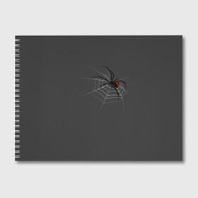 Альбом для рисования с принтом Паук в Белгороде, 100% бумага
 | матовая бумага, плотность 200 мг. | animal | animals | poison | spider | venom | вдова | животные | каракурт | паук | паутина | паучок | черная | черная вдова | яд