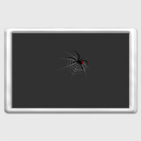 Магнит 45*70 с принтом Паук в Белгороде, Пластик | Размер: 78*52 мм; Размер печати: 70*45 | animal | animals | poison | spider | venom | вдова | животные | каракурт | паук | паутина | паучок | черная | черная вдова | яд
