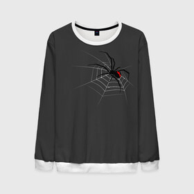Мужской свитшот 3D с принтом Паук в Белгороде, 100% полиэстер с мягким внутренним слоем | круглый вырез горловины, мягкая резинка на манжетах и поясе, свободная посадка по фигуре | animal | animals | poison | spider | venom | вдова | животные | каракурт | паук | паутина | паучок | черная | черная вдова | яд