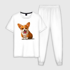 Мужская пижама хлопок с принтом Корги в Белгороде, 100% хлопок | брюки и футболка прямого кроя, без карманов, на брюках мягкая резинка на поясе и по низу штанин
 | вельш корги | домашние животные | корги | пес | собака | собачнику | щенок