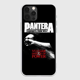 Чехол для iPhone 12 Pro Max с принтом Pantera в Белгороде, Силикон |  | Тематика изображения на принте: american | anselmo | havy metal | pantera | philip anselmo | trash metal | ансельмо | пантера | фил ансельмо