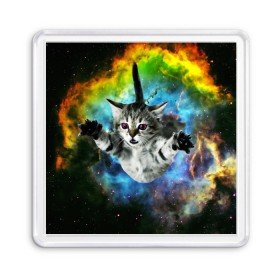 Магнит 55*55 с принтом КОСМИЧЕСКИЙ КОТ в Белгороде, Пластик | Размер: 65*65 мм; Размер печати: 55*55 мм | cat | cats | животные | киса | киска | кот | котики | коты | котэ | кошка | природа