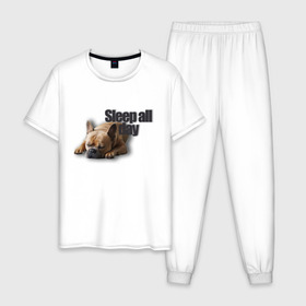 Мужская пижама хлопок с принтом Спать весь день в Белгороде, 100% хлопок | брюки и футболка прямого кроя, без карманов, на брюках мягкая резинка на поясе и по низу штанин
 | пес | собака | сон | спать весь день | французский бульдог