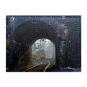Обложка для студенческого билета с принтом Трамвай в Белгороде, натуральная кожа | Размер: 11*8 см; Печать на всей внешней стороне | Тематика изображения на принте: rails | railway | tram | trees | tunnel | деревья | железная дорога | рельсы | тоннель | трамвай