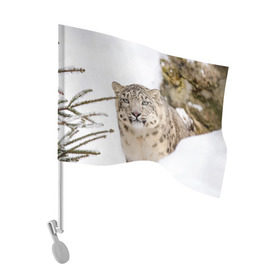 Флаг для автомобиля с принтом Ирбис в Белгороде, 100% полиэстер | Размер: 30*21 см | Тематика изображения на принте: snow leopard | барс | барсы | животное | животные | звери | зверь | зима | зимы | ирбис | киски | кот | коты | кошачьи | кошка | кошки | мохнатые | мохнатый | пятнистые | пятнистый | снег | снежный