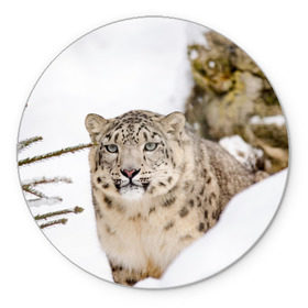 Коврик для мышки круглый с принтом Ирбис в Белгороде, резина и полиэстер | круглая форма, изображение наносится на всю лицевую часть | snow leopard | барс | барсы | животное | животные | звери | зверь | зима | зимы | ирбис | киски | кот | коты | кошачьи | кошка | кошки | мохнатые | мохнатый | пятнистые | пятнистый | снег | снежный
