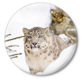 Значок с принтом Ирбис в Белгороде,  металл | круглая форма, металлическая застежка в виде булавки | Тематика изображения на принте: snow leopard | барс | барсы | животное | животные | звери | зверь | зима | зимы | ирбис | киски | кот | коты | кошачьи | кошка | кошки | мохнатые | мохнатый | пятнистые | пятнистый | снег | снежный