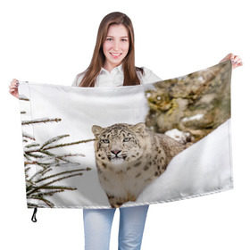 Флаг 3D с принтом Ирбис в Белгороде, 100% полиэстер | плотность ткани — 95 г/м2, размер — 67 х 109 см. Принт наносится с одной стороны | snow leopard | барс | барсы | животное | животные | звери | зверь | зима | зимы | ирбис | киски | кот | коты | кошачьи | кошка | кошки | мохнатые | мохнатый | пятнистые | пятнистый | снег | снежный